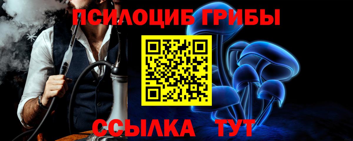 Псилоцибиновые грибы прущие грибы  продажа наркотиков  Нефтеюганск  Вход с VPN 